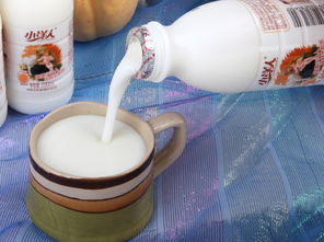 小洋人黄桃味发酵型乳酸菌奶饮品 200ml即饮型无酒精饮料的活力之选