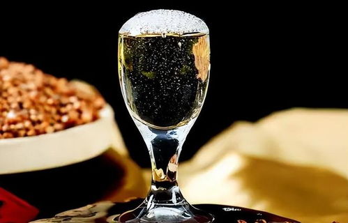 低价淘好酒有门道 避开即饮型，记住三要点，便宜也能喝到好滋味