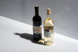 零酒精也能畅饮？探寻即饮型无酒精饮料的新风潮